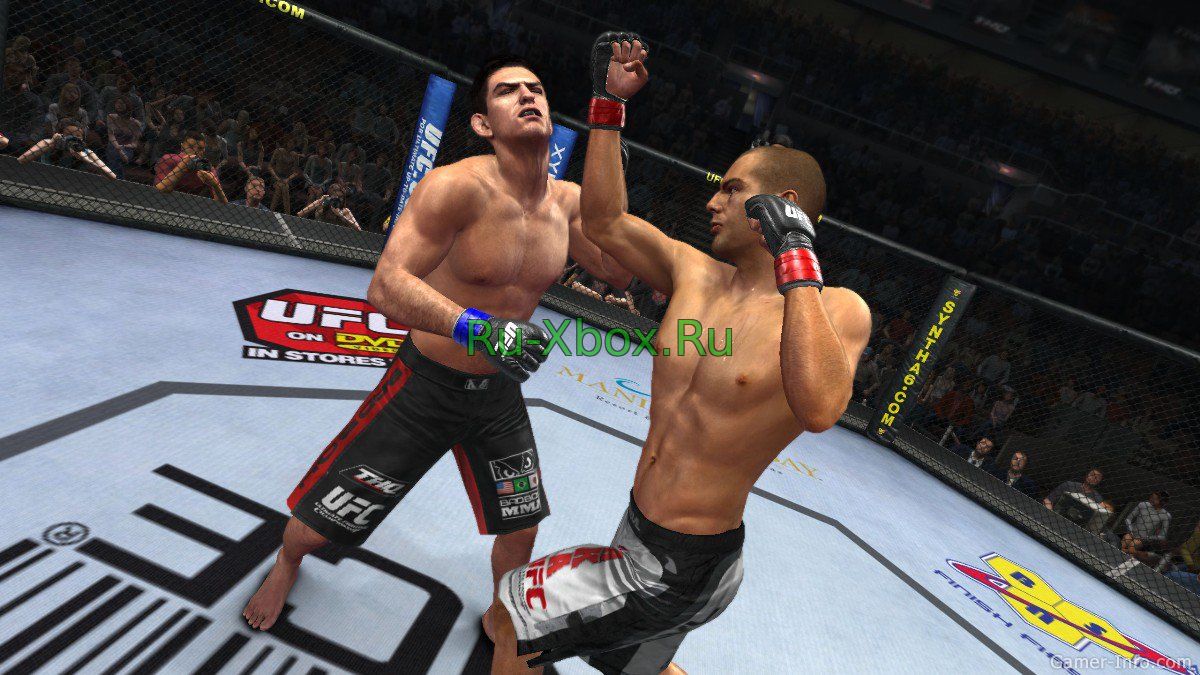 Изображение 3 - UFC Undisputed 2010