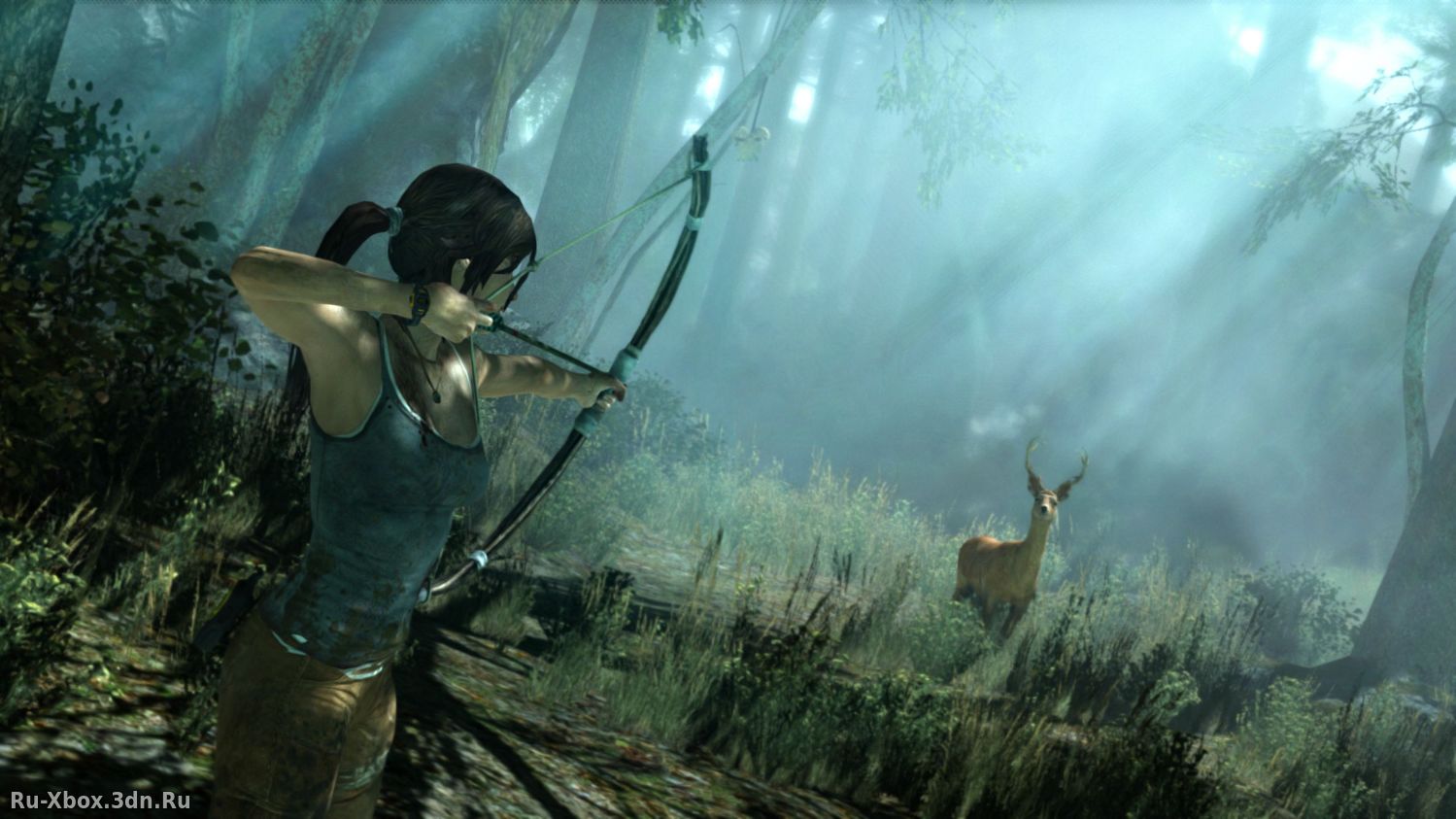 Изображение 1 - Tomb Raider