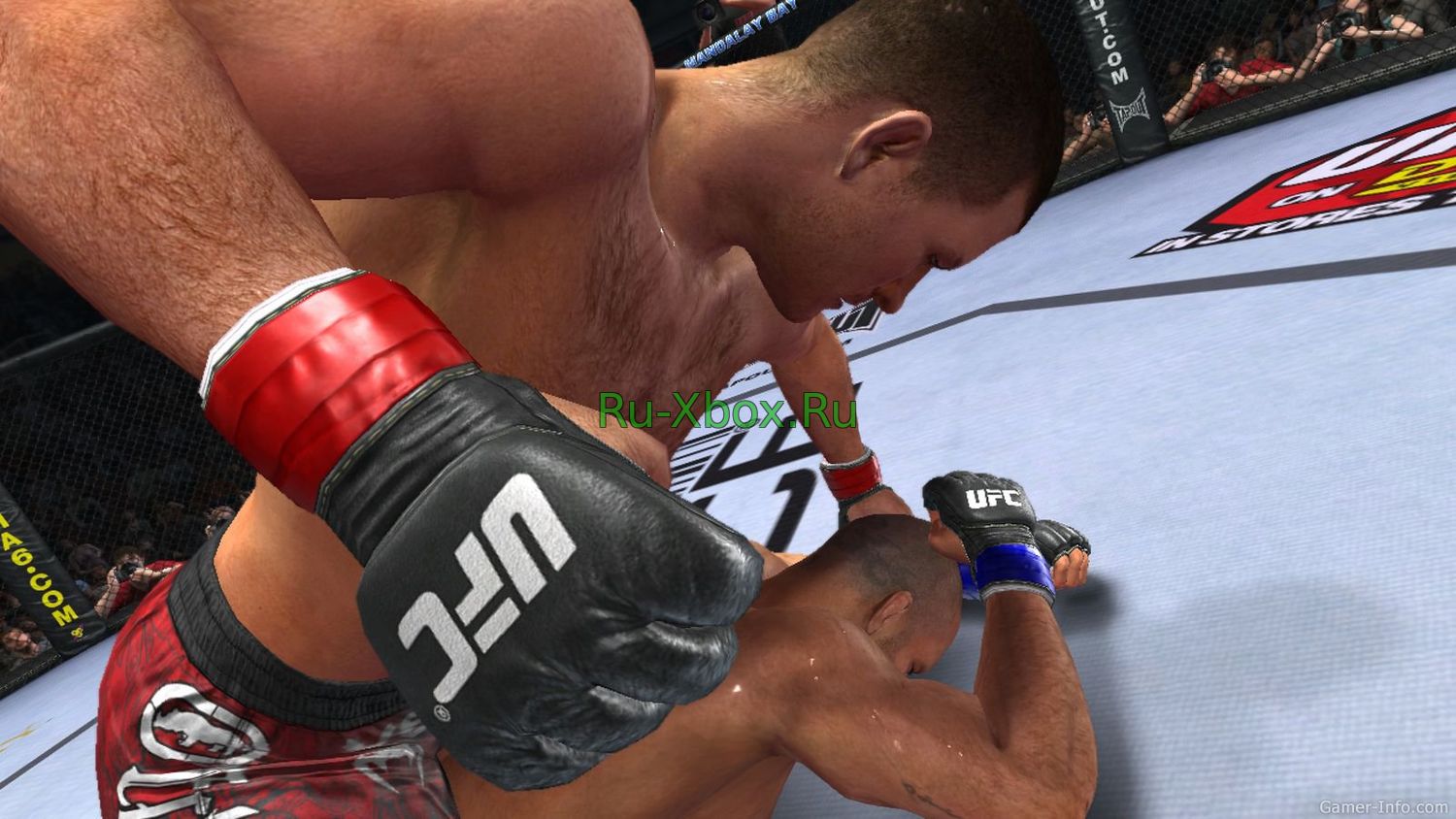 Изображение 1 - UFC Undisputed 2010