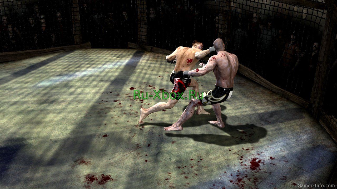 Изображение 3 - Supremacy MMA (2011)