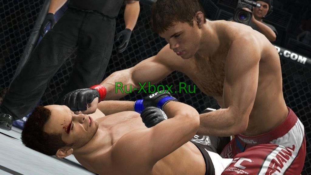 Изображение 1 - UFC Undisputed 3